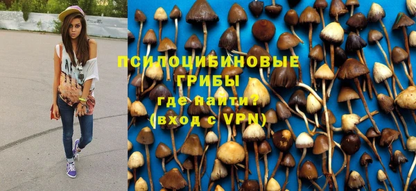 индика Алексеевка