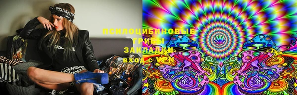 бошки Алексин